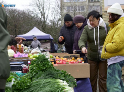Минимальный набор продуктов продолжает дорожать на Ставрополье