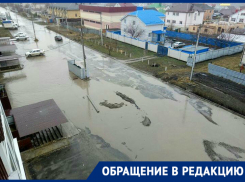 «А лодки будут выдавать?» - ставропольчанка обратилась с проблемой