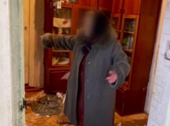 В причинении смерти по неосторожности обвиняют женщину, чьи собаки загрызли девочку в Ставрополе 