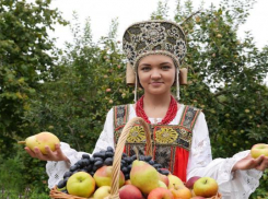 В жилом районе «Гармония» пройдет ярмарка «Осень 2016»