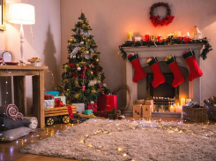 Ставропольцы готовы отказаться от салютов Новый год в пользу СВО