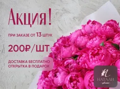 Цены рухнули: сортовые пионы отдают за копейки — спешите заказать в Ставрополе