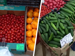 До 800 рублей: цены на помидоры перед Новым годом оказались с горьким привкусом на Ставрополье