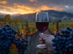 За 218 миллионов рублей модернизируют винзавод на Ставрополье