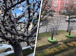 Новогодние украшения за 80 миллионов начали появляться на улицах Ставрополя