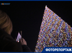 Огни зажгли на главной елке Ставрополя