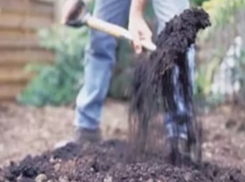 Взрослый мужчина и юноша из-за книг жестоко расправились со знакомым на Ставрополье