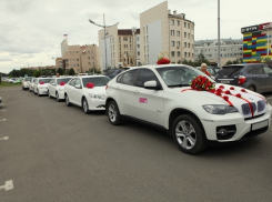 Свадебные кортежи будут штрафовать за шумные гуляния на Ставрополье