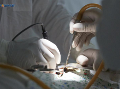 Трансплантологи на Ставрополье пересадили 18 органов умирающим людям