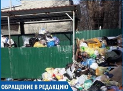 Переполненные мусорные контейнеры во дворе жилого дома возмутили жителей Ставрополя 