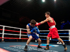 Ставропольские боксеры отличились в станице Суворовской и в Химках 