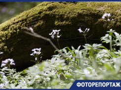 Фоторепортаж: в День Земли «Блокнот» запечатлел отношение ставропольцев к родной природе