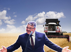 Власти продолжают кошмарить бизнес. Кто выживает «Племенной завод» из Ипатовского района?