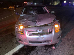 Дело сбившего насмерть двух школьниц ставропольца передали в суд