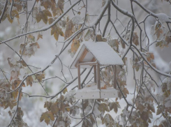 Снег продолжит атаковать Ставрополье вплоть до конца рабочей недели