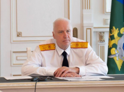 Попытки мигрантов познакомиться с несовершеннолетней девочкой в Ставрополе дошли до Бастрыкина