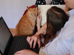 Режим самоизоляции на Ставрополье продлили до 7 июня