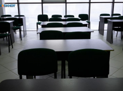 Несколько школ в Михайловске переведут на дистант 25 марта