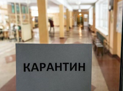 На Ставрополье ввели карантин из-за подозрения на коронавирус и грипп