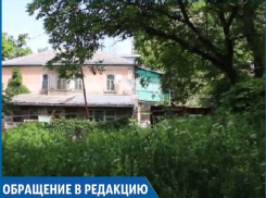 «Бурьян и амброзия в человеческий рост в центре города-курорта — это просто позорище», - житель Кисловодска