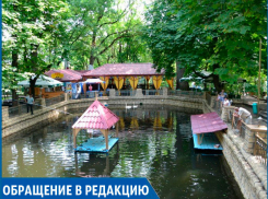 «Если уж не делаете детям подарок в виде снижения цены, то не повышайте, хотя бы цены на  праздники», - жительница Ставрополя