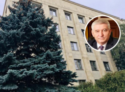 Глава Ставрополя пригласил горожан высадить новую аллею елей на площади Ленина