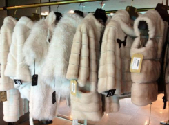 Бизнес предпринимателей Ставрополья рискует рухнуть из-за введения обязательной маркировки меховых изделий