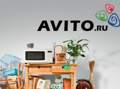 Руководство сайта Avito предупреждает о мошенничестве в связи со случаем в Пятигорске