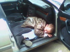 Комичный угонщик трижды пытался завести чужую машину, пока его не поймала полицейская собака на Ставрополье