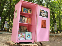 Розовый холодильник в Ставрополе подарит книгам новую жизнь