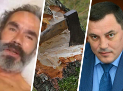 Побег из рабства, вырубка деревьев и доход больше, чем у губернатора: как прошла середина мая на Ставрополье  