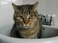 Более 2 тысяч человек остались без воды в Предгорном округе на Ставрополье 