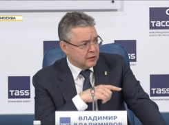 Возродил терренкур и обнулил налоги мобилизованным губернатор Ставрополья Владимиров