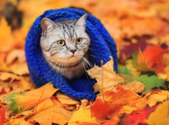 В пятницу в Ставрополе будет солнечно 