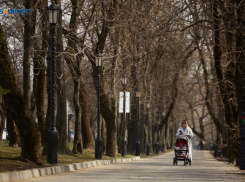 Жители Ставрополья стали активнее пользоваться мобильным интернетом и новыми технологиями