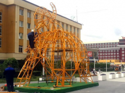 «Войти в слона» предложили жителям Ставрополя в администрации