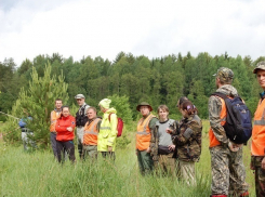 Следком проводит проверку по факту исчезновения несовершеннолетней девочки на Ставрополье