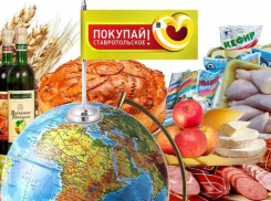 Фиаско ставропольской экономики показал всероссийский рейтинг