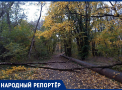 Вместо Тропы здоровья жители Ставрополя увидели полосу препятствий