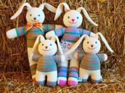 Плагиатом назвали ставропольцы проект-победитель конкурса «Лучшая бизнес-идея»