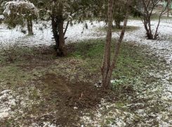 Мать получила 1,5 года колонии-поселения за убийство новорожденного ребенка на Ставрополье