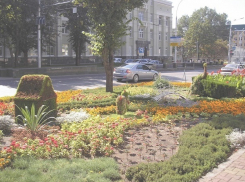 Свежий ветер и умеренная погода ждет ставропольчан в пятницу