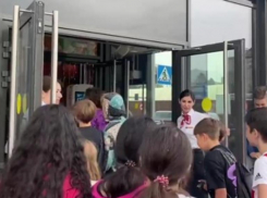 Открытие аналога Макдоналдса в Ставрополе привлекло только детей и журналистов 