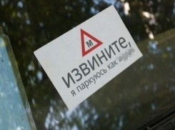 В Ставрополе появится новый аналог «СтопХама»
