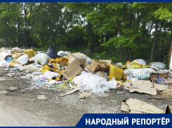 Широкоизвестный рынок КМВ снова погряз в мусоре