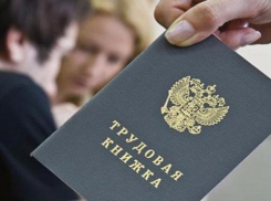 Из теневой занятости вывели 62 тысячи человек в Ставропольском крае