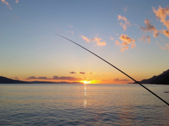 В водах Ставрополья проходит кампания по зарыблению