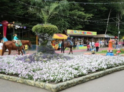 По ставропольскому парку Победы пробежался голый мужчина