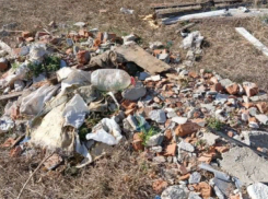 За свалку на сельхозземлях администрация Андроповского округа Ставропольского края получила досудебную претензию