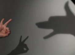 Сразу девять улиц и переулков останутся без электричества 24 сентября в Ставрополе